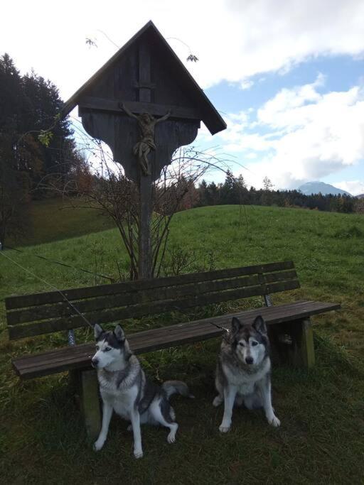 Wohnung Rheintal Im Alpenvorland Batschuns Luaran gambar