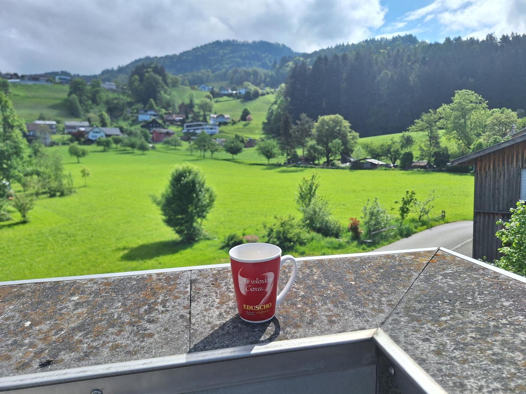 Wohnung Rheintal Im Alpenvorland Batschuns Luaran gambar