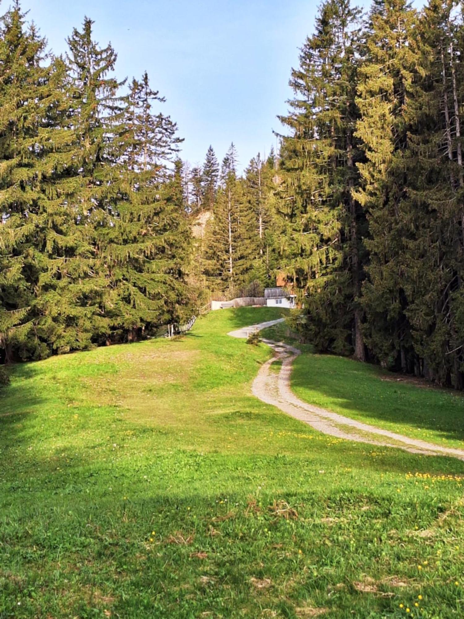 Wohnung Rheintal Im Alpenvorland Batschuns Luaran gambar