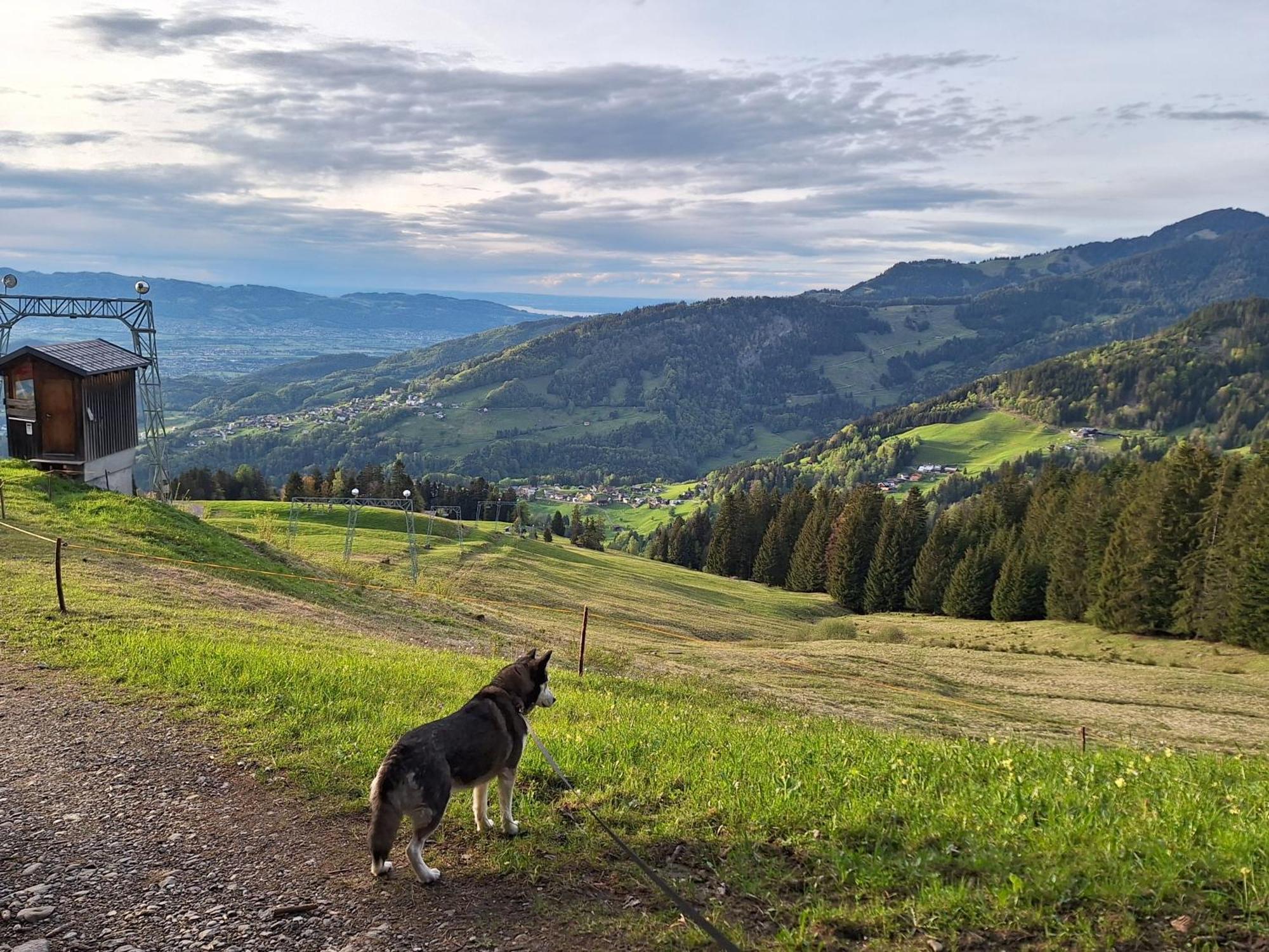 Wohnung Rheintal Im Alpenvorland Batschuns Luaran gambar