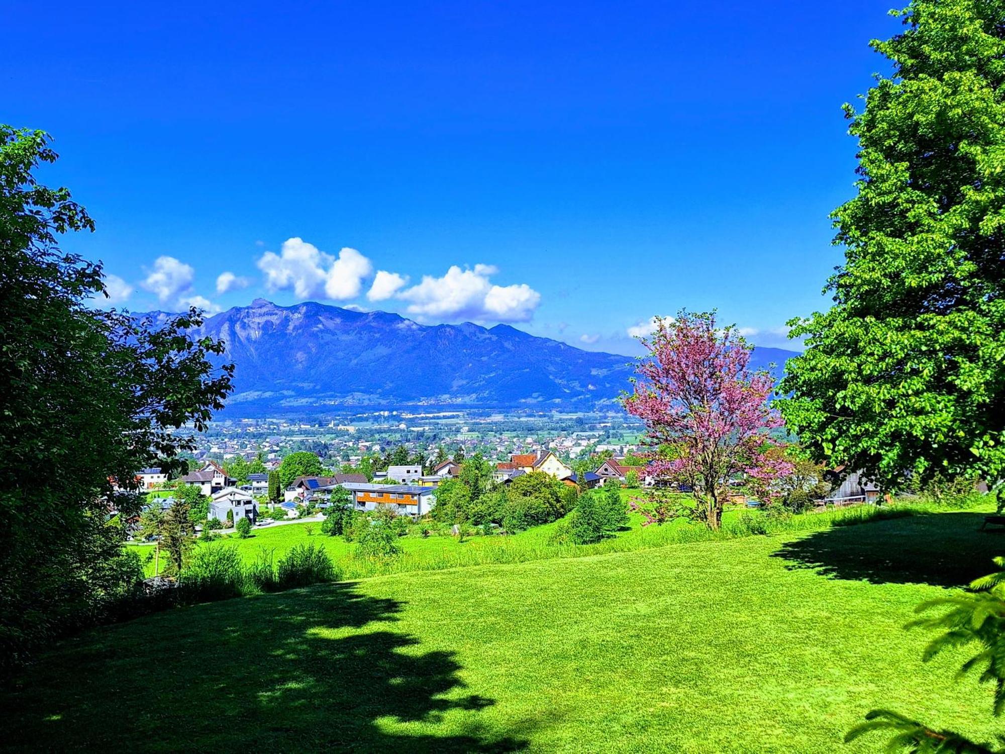 Wohnung Rheintal Im Alpenvorland Batschuns Luaran gambar
